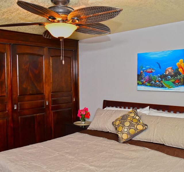 Hopkins Belize Pelican Apartment