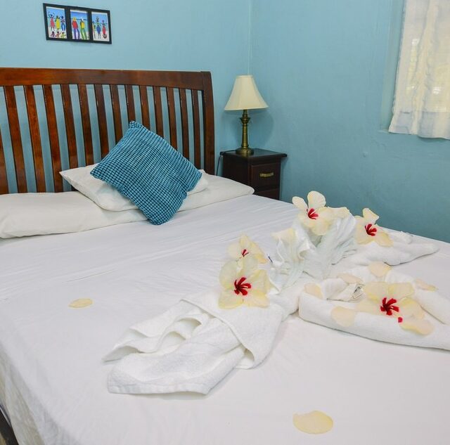 Hopkins Belize Deluxe Queen Rooms