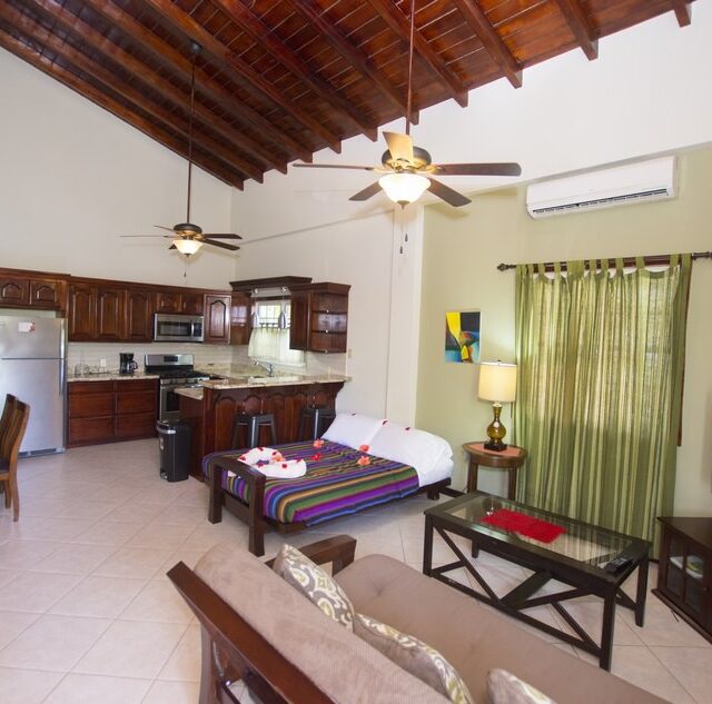 Hopkins Belize Studio Apartment