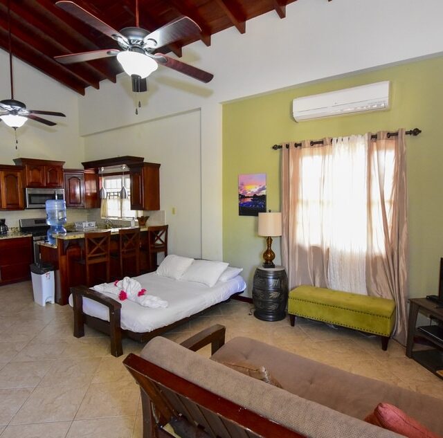 Hopkins Belize Studio Apartment