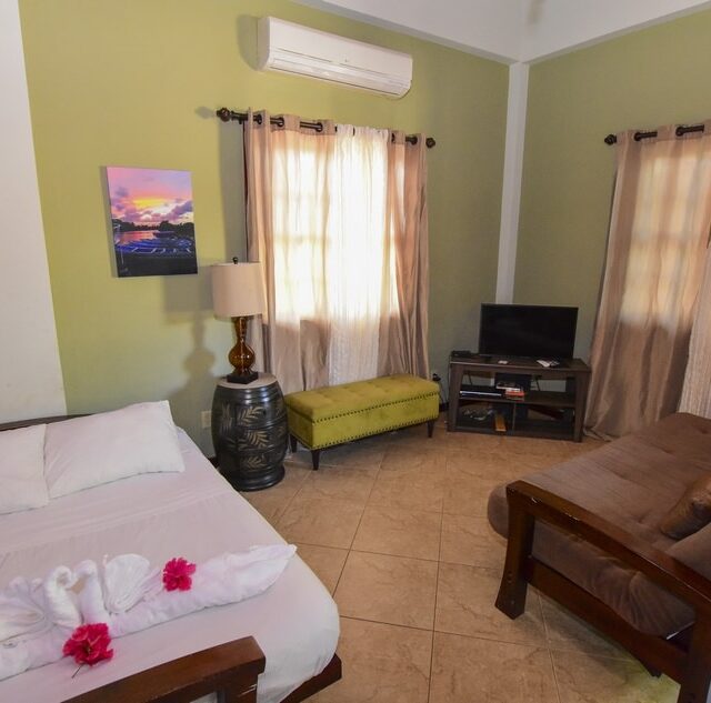 Hopkins Belize Studio Apartment